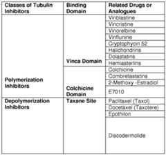 Figure imgf000024_0001