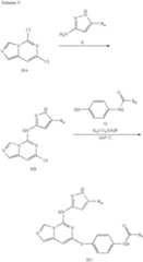 Figure US08288536-20121016-C00055