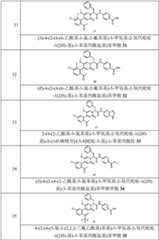 Figure GPA0000257967300000171