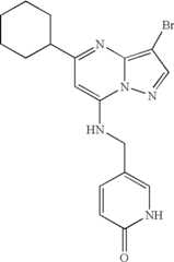 Figure US07119200-20061010-C01519