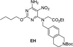 Figure BDA0000075082050002063