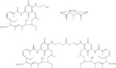 Figure US07465718-20081216-C00248