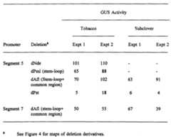 Figure imgf000026_0001