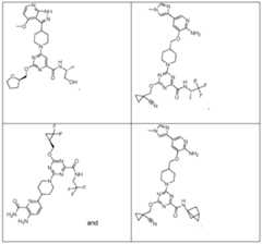 Figure imgf000011_0001