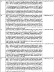 Figure BDA0004183790070000681