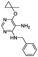 Figure imgf000171_0001
