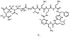 Figure imgf000049_0001