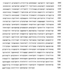 Figure 106137461-A0202-12-0261-105