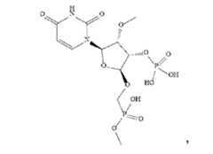 Figure 109145408-A0305-12-0069-7