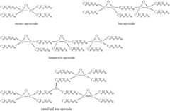 Figure US08944690-20150203-C00001