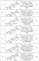 Figure GPA0000263212130001431