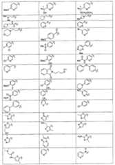 Figure 112006077693653-pct00029