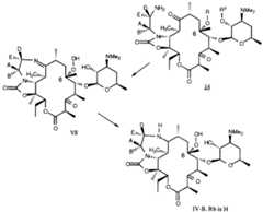 Figure imgf000094_0002