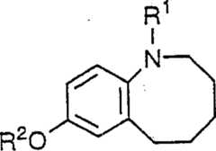 Figure A0013178700401