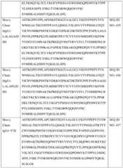 Figure imgf000222_0001