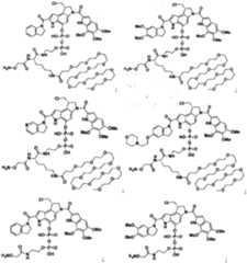 Figure imgf000014_0001