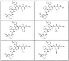 Figure imgf000332_0002