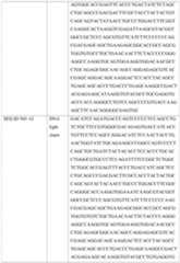 Figure imgf000065_0001