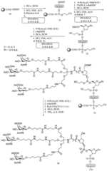 Figure BDA0003357312860005571