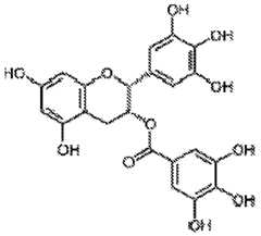 Figure imgf000052_0001