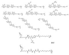 Figure 2024052946000124