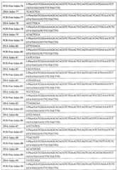 Figure BSA00000293336400101