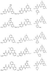 Figure imgf000025_0001