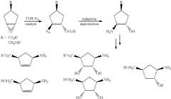 Figure US06262278-20010717-C00017