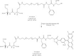 Figure US10646581-20200512-C00049