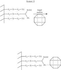 Figure US08383356-20130226-C00013