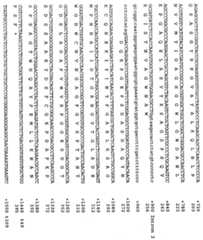 Figure 112001007761231-pct00073