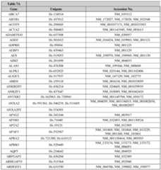 Figure imgf000256_0001