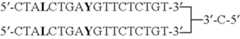Figure US07851453-20101214-C00009