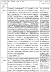 Figure PCTCN2019123555-APPB-000040