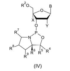 Figure 0007075681000028