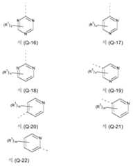 Figure 112019131196678-pct00023