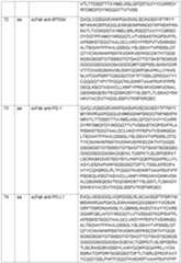 Figure imgf000078_0001