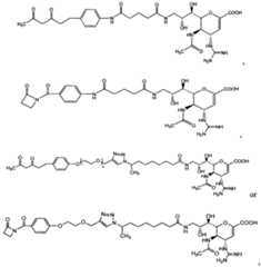 Figure imgf000020_0002