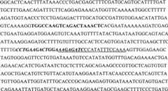 Figure G05842547720070613D000861