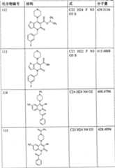 Figure A200780017807D00981