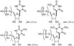 Figure imgf000089_0001