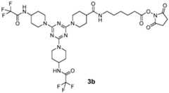 Figure imgf000079_0001