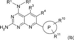 Figure S2006800298090D00101