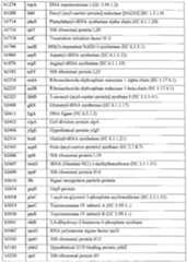 Figure imgf000123_0001