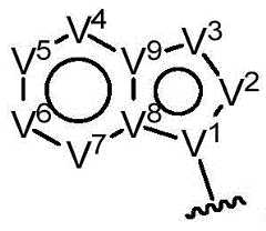 Figure BDA0001019859360000371