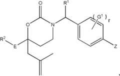 Figure FDA0000045152810000121