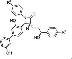 Figure S2006800249696D00131