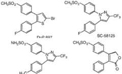 Figure imgf000007_0002