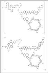 Figure BDA0002889616220001551