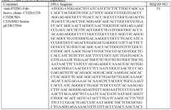 Figure imgf000092_0002